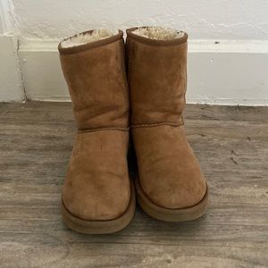 Ugg Boots Chesnut Classic Short